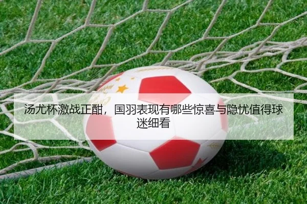 汤尤杯激战正酣，国羽表现有哪些惊喜与隐忧值得球迷细看