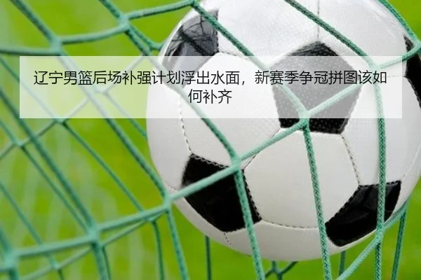 辽宁男篮后场补强计划浮出水面，新赛季争冠拼图该如何补齐（aiyouxi）